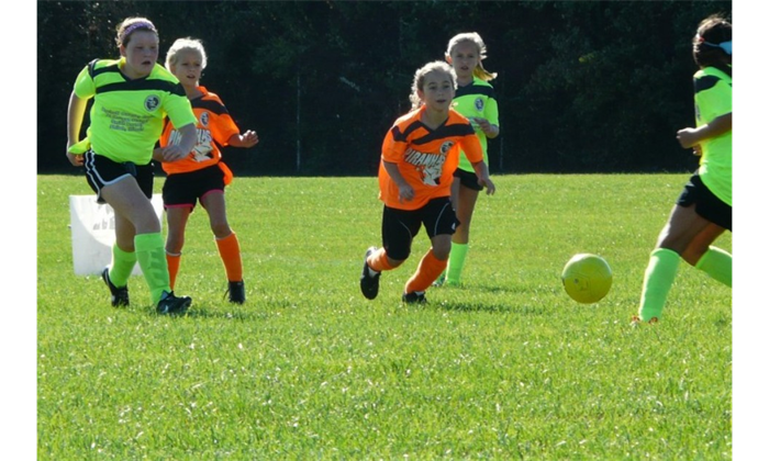 2013 Fall Registration